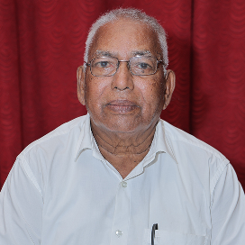 vice-president