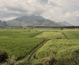 nagercoil